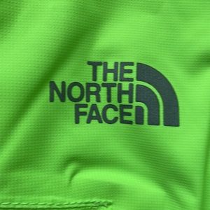 The North Face ski pants, kids size Large (14/16)